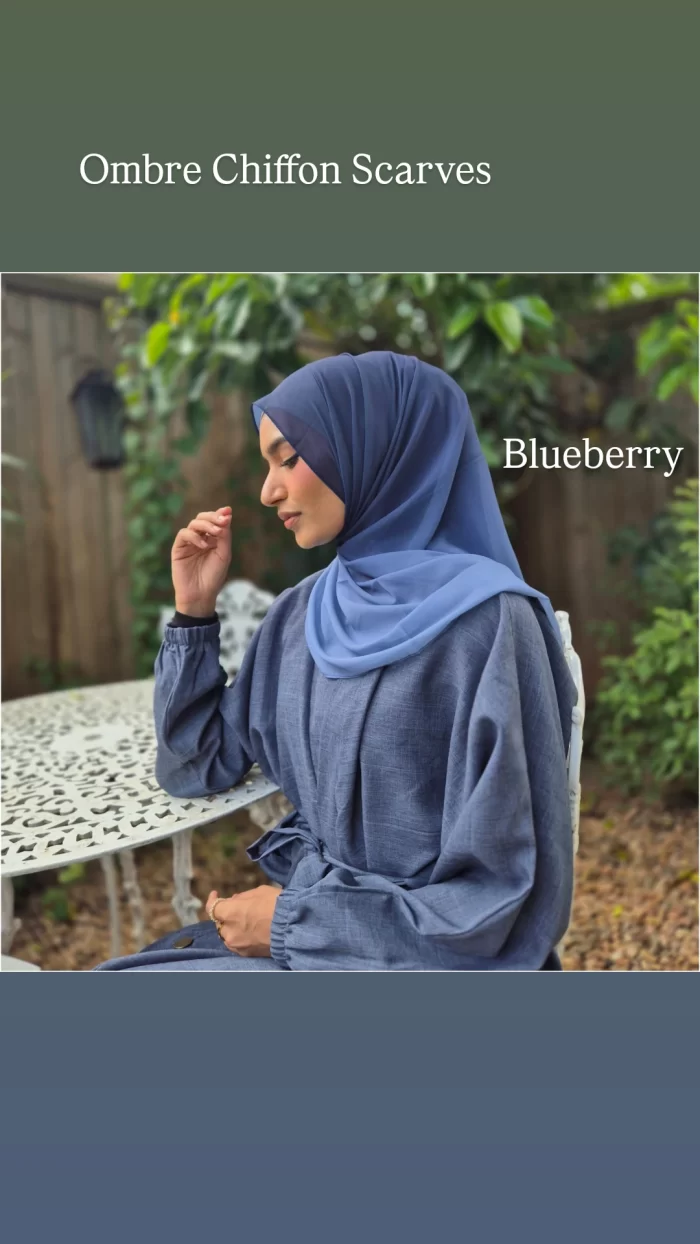 Ombre Chiffon Scarves - Image 2