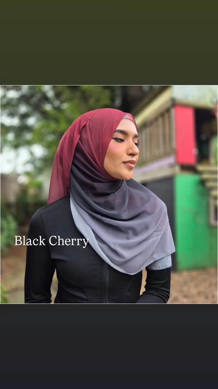 Ombre Chiffon Scarves - Image 3